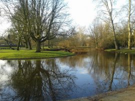 1513240_445135698946816_1231381821_n