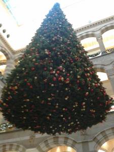 1545818_445120895614963_2037443526_n