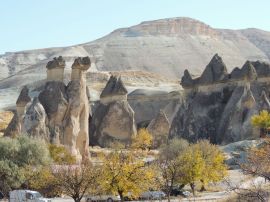 1005853_626026930793279_1609166033_n