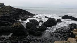 1609331_627267393975285_1978264289_o