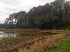 1969361_10205028837623829_5897693923225597699_n