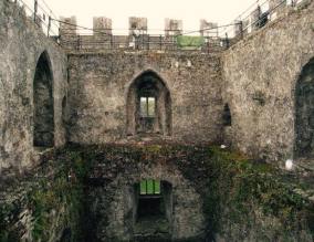 269268-inside-castle-blarney-blarney-castle-ireland