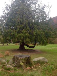 10175967_10205032904125489_52100412910129858_n