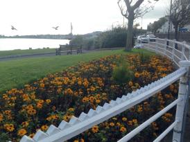 10544376_10204991956501824_5682717763687588102_n