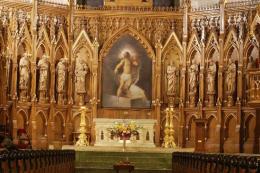 St patricks cadetral